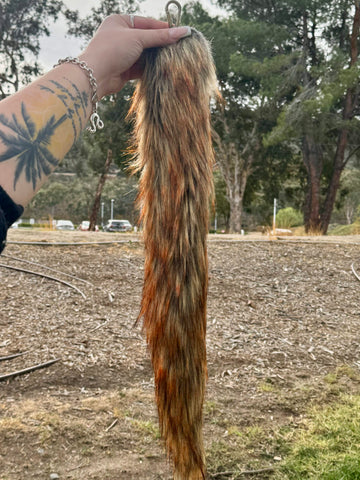 Brown Husky Tail