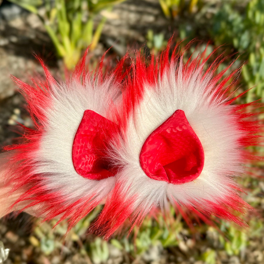 ChChChCherry Bomb Ears 🍒